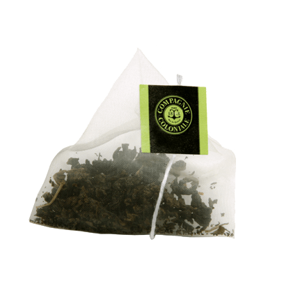 SACHETS 25 - SENCHA FLORIDE